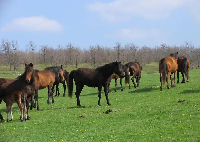 מלון Lilia 2 Family פרימורסקו