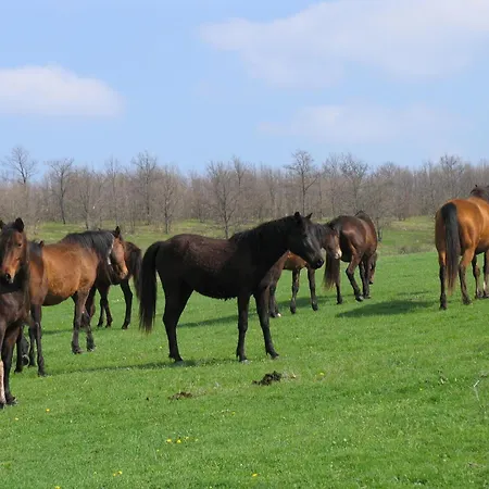 Otel Lilia 2 Family Primorsko